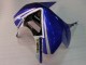 2003-2004 White Blue Red Fiat Kawasaki ZX6R Motorcycle Fairings