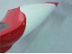 1998-1999 Red White Black Dunlop Yamaha YZF 1000 R1 Motorcycle Fairings