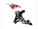 2002-2003 White Red Black Castrol Yamaha YZF 1000 R1 Motorcycle Fairings