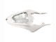 2007-2008 White Black Yamaha YZF 1000 R1 Motorcycle Fairings