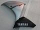 2009-2011 Silver Black Yamaha YZF 1000 R1 Motorcycle Fairing