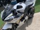 2006-2009 White Gold Yamaha YZF R6S Motorcycle Fairings