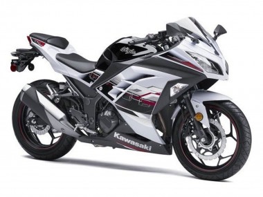 2013-2024 White Black Red Accents Kawasaki EX300 Motorcycle Fairings