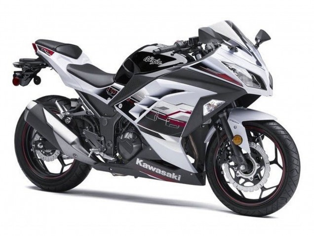 2013-2024 White Black Red Accents Kawasaki EX300 Motorcycle Fairings