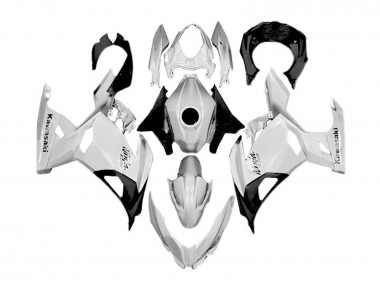 2018-2024 White Silver Black Kawasaki Ninja 400 Motorcycle Fairings