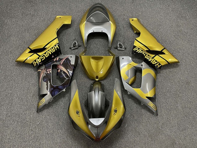 Aftermarket 2005-2006 Gold and Silver Kawasaki ZX6R Motorcycle Fairings Aftermarket 2005-2006 Gold and Silver Kawasaki ZX6R Motorcycle Fairings